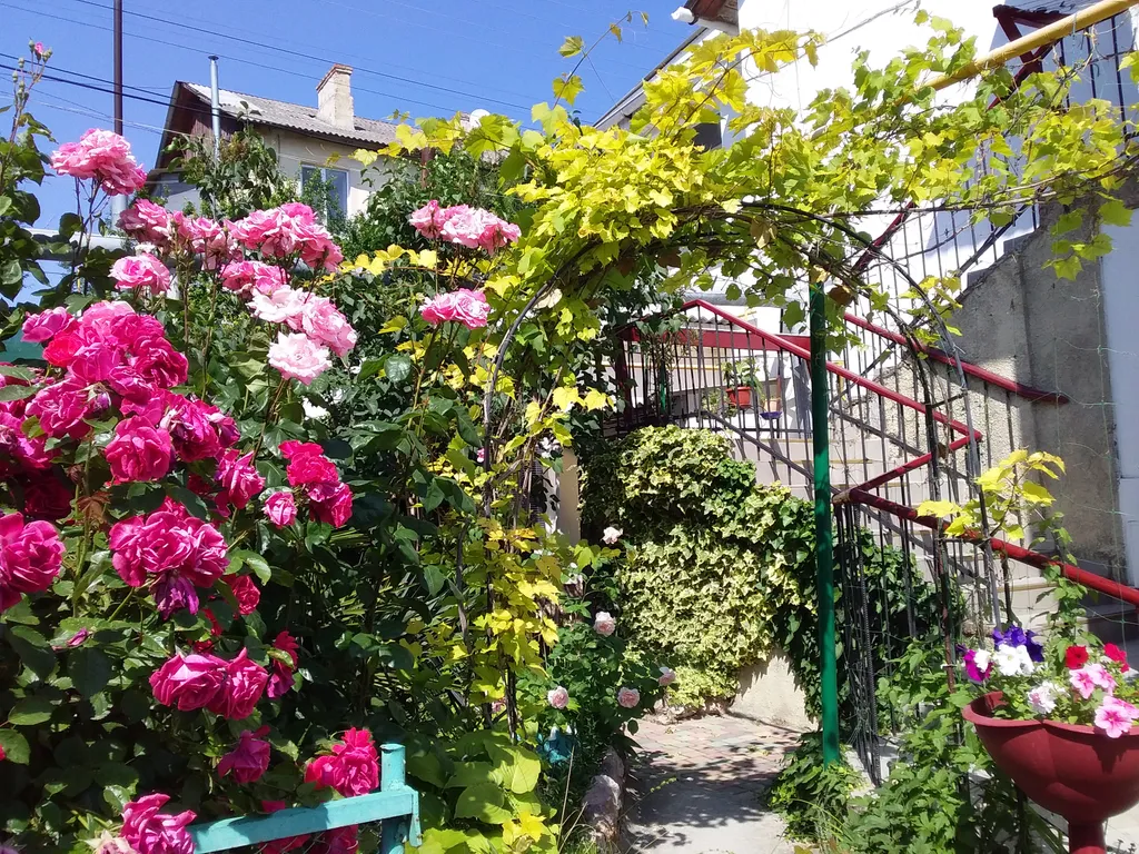 Комната у моря