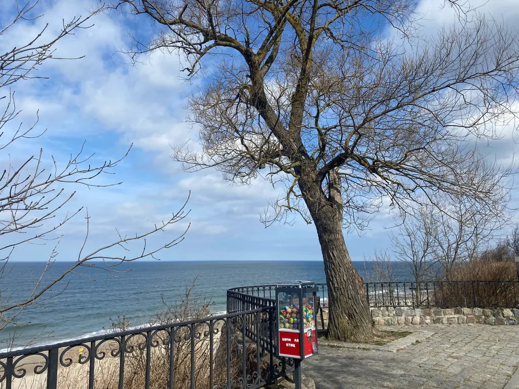 Прекрасная Кёнигсбергщина-1