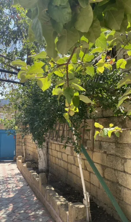 Комната в частном уютном доме с огромным двором