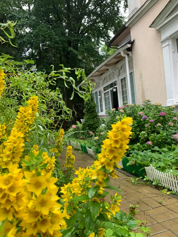 Уютная студия в центре Светлогорска