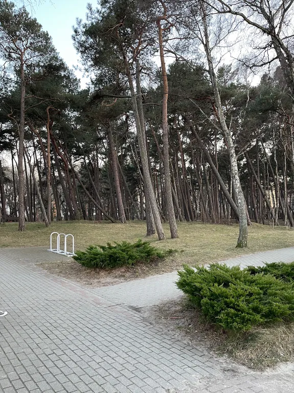 Уютная квартира у моря 5 минут пешком