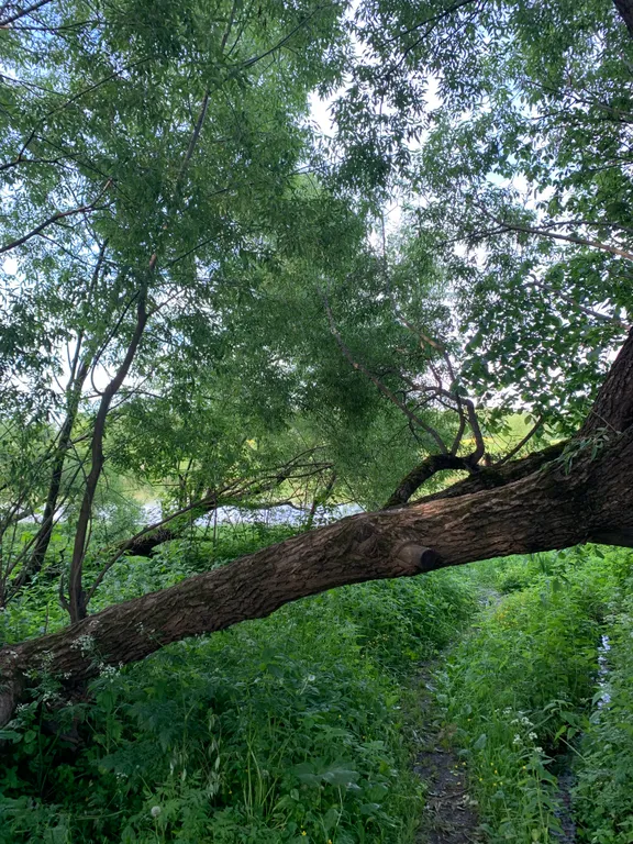 Дом для отдыха