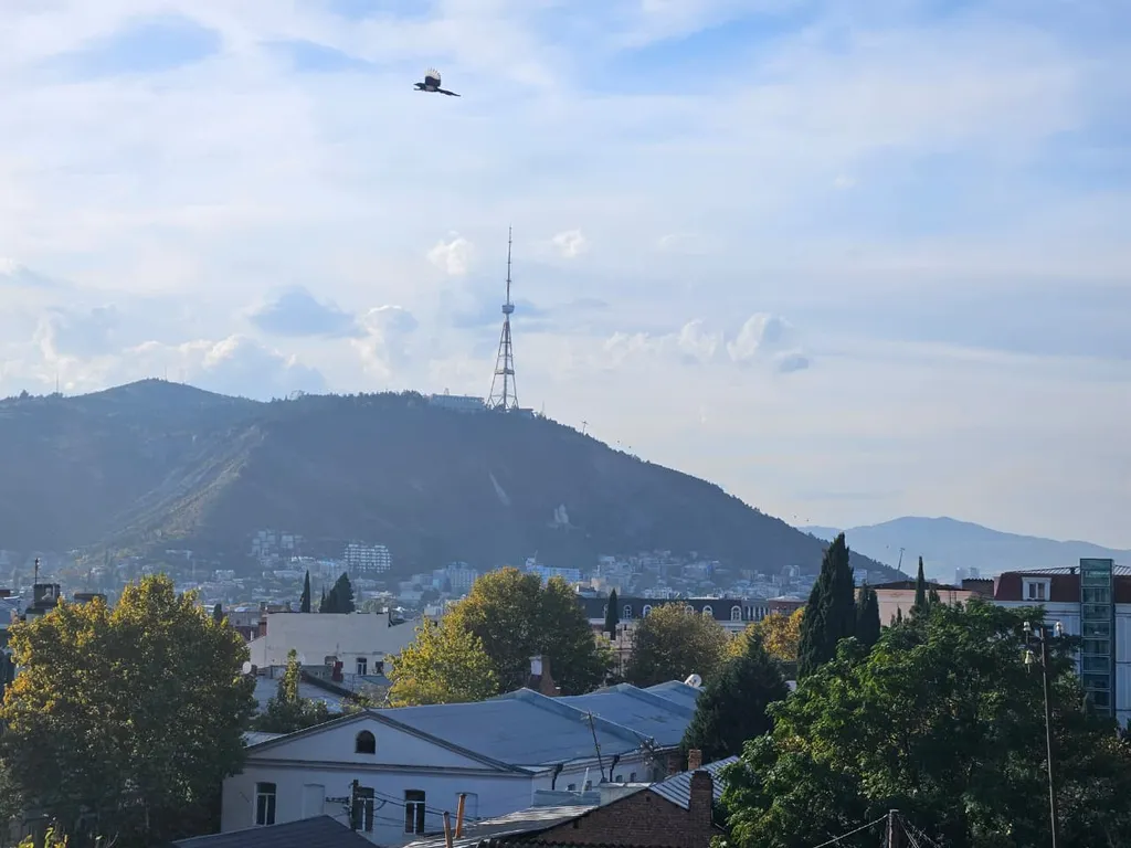 Квартира в центре с изолированной спальней, кухней-гостиной 6 этаж