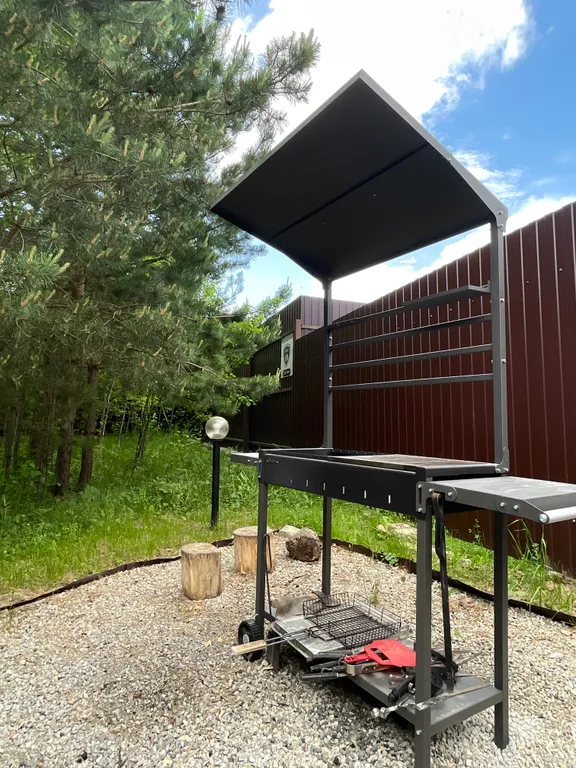 Дом с баней и купелью у леса