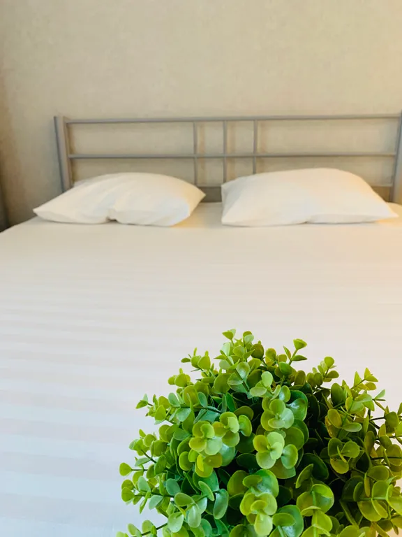 Уютная студия в центре