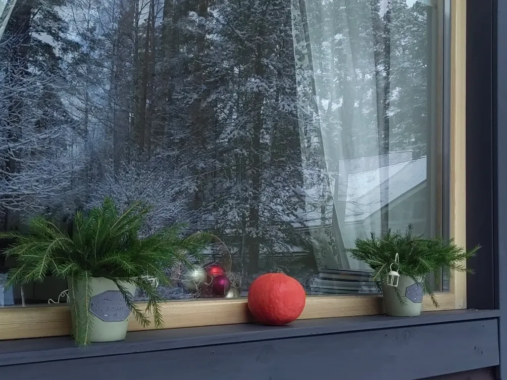 Уютный домик в Сосново