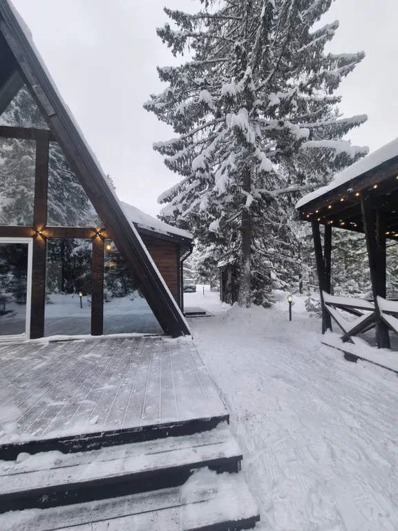 Коттедж Гостевой дом В ЁLКИ — Чална