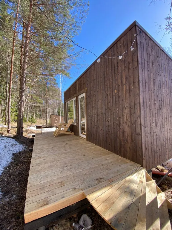 Глемп с видом на лес