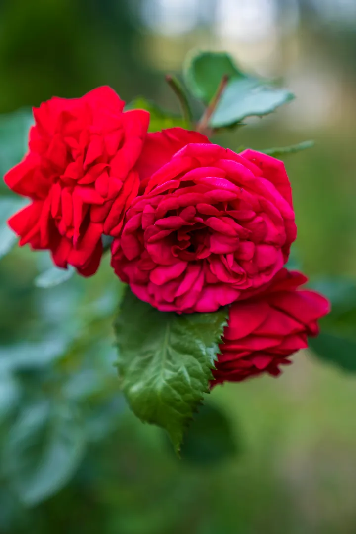 Фото