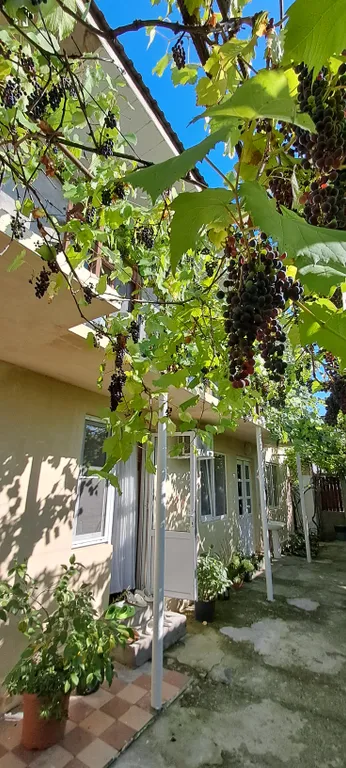 Дом для большой компании в 300 м. от моря