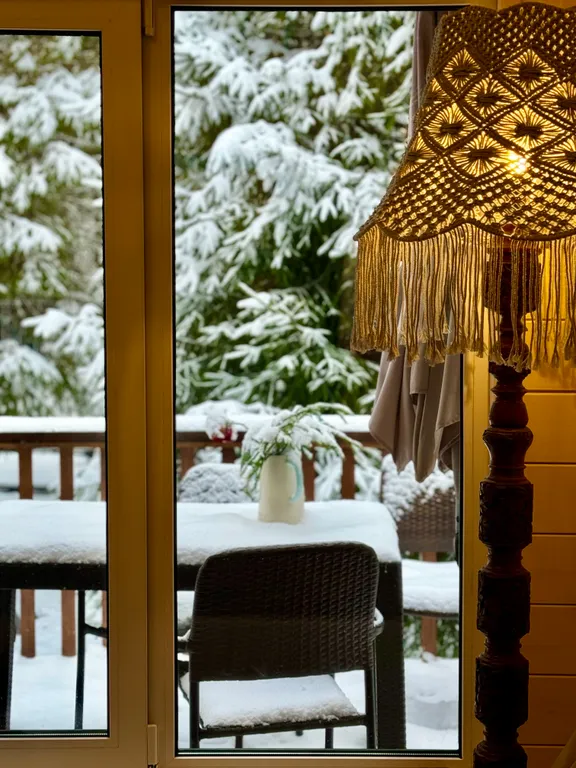 Дом в елях с финской сауной