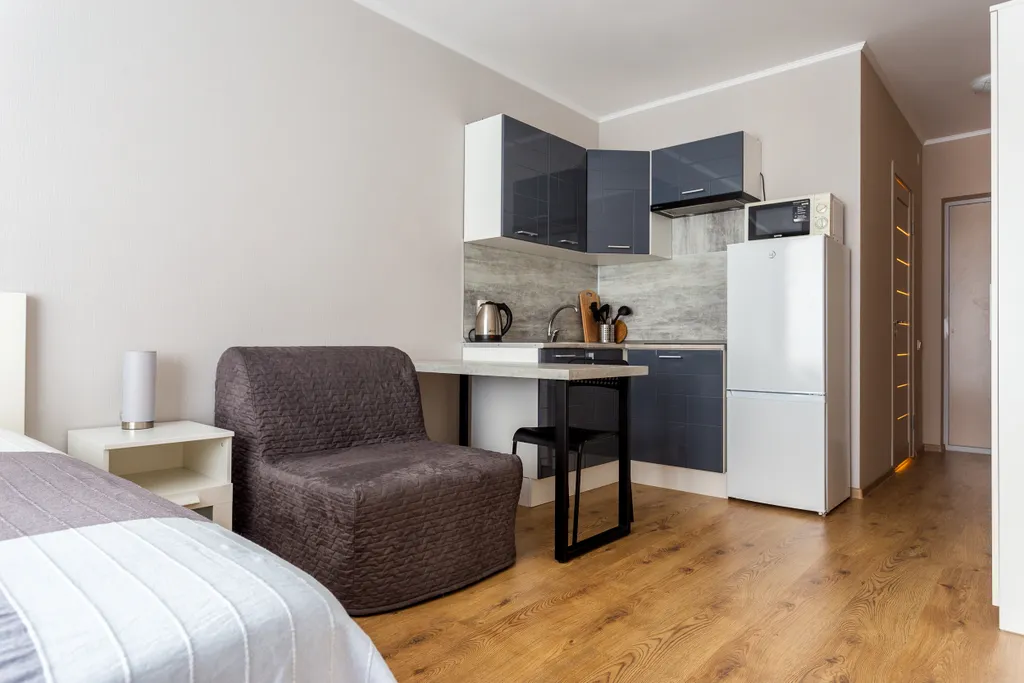 Студия у метро Парнас