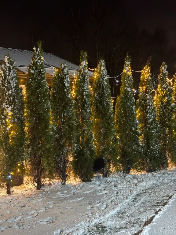 Уютный домик с террасой