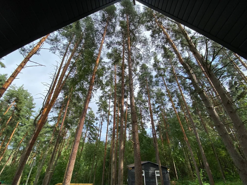 Новый мятный домик в Сосново