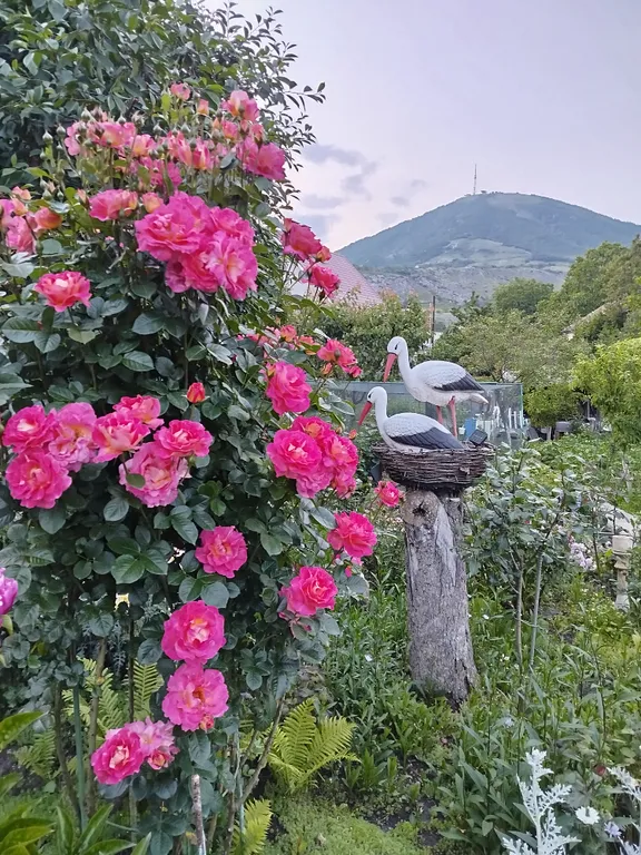 Коттедж Уютный дом у подножия горы Машук — аренда посуточно в Горячеводский