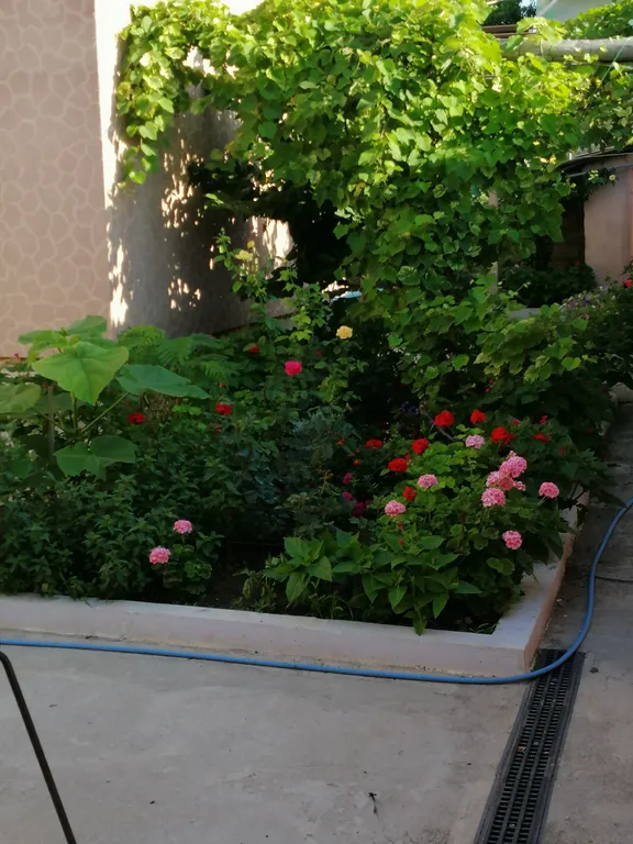 Уютный дом для отдыха