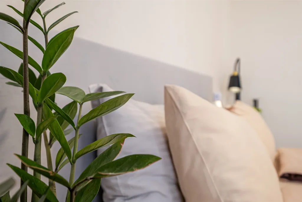 Квартира в центре с видом на лес.