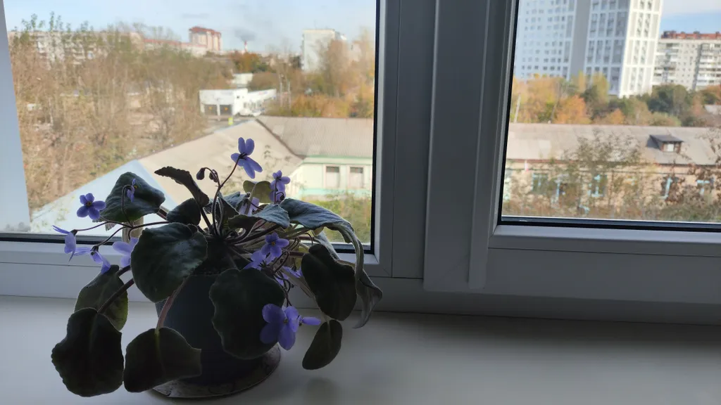 Квартира Уютная квартира — Новосибирск