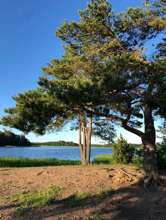 Коттедж Дом на берегу финского залива — Подборовье