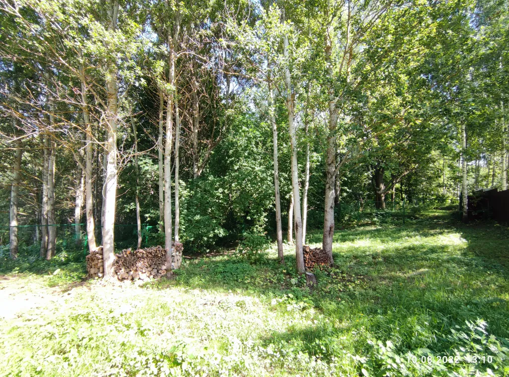 Дом-сауна с лёгким паром