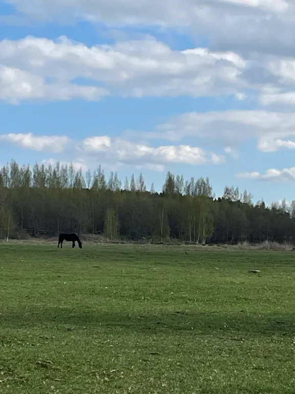 Квартира Уютная квартира рядом с конным клубом — Янино-1