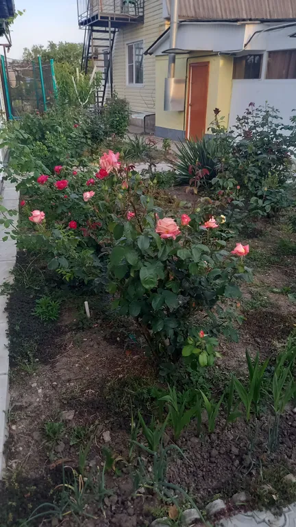 Квартира Уютные апартаменты, рядом море и песчаный пляж — Кучугуры