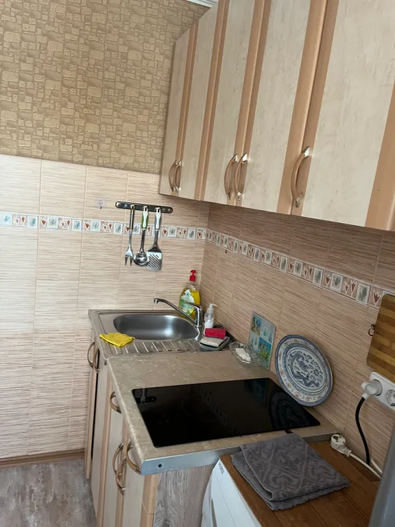 Уютная однокомнатная квартира в центре города