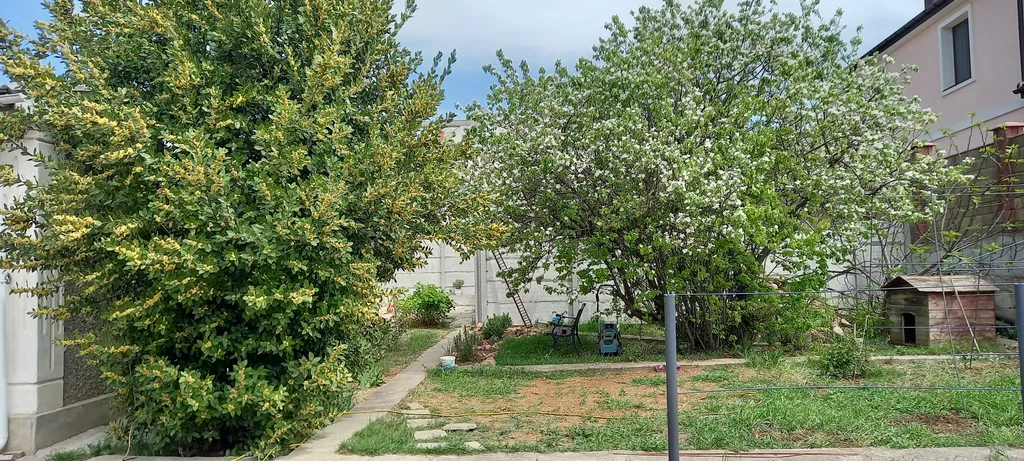 Дом старого художника в Севастополе