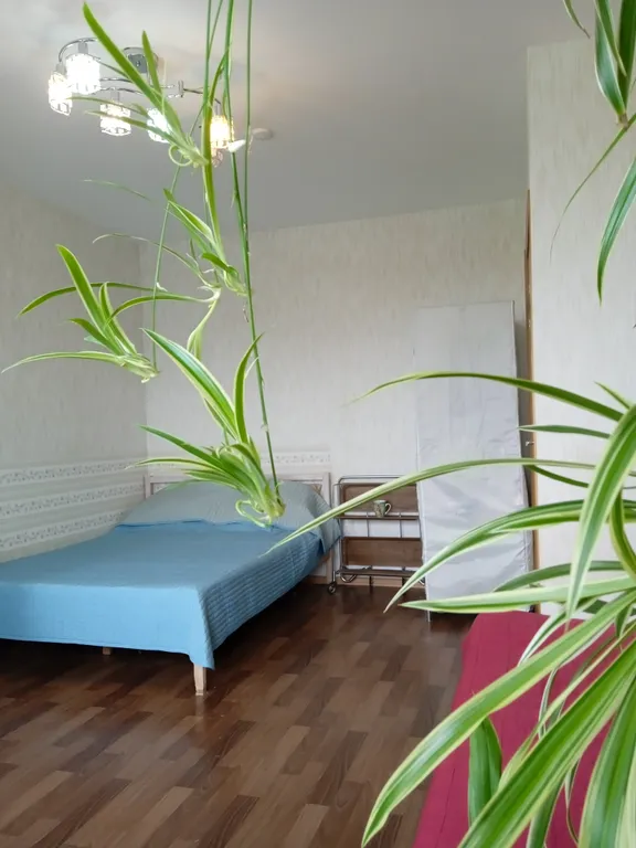 Видовая квартира у метро — аренда посуточно в Парголово