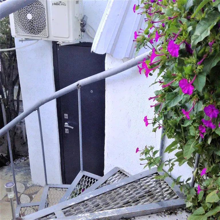 Коттедж Коттедж-студия с двориком в 5-6 минутах к пляжу и набережной — Ялта