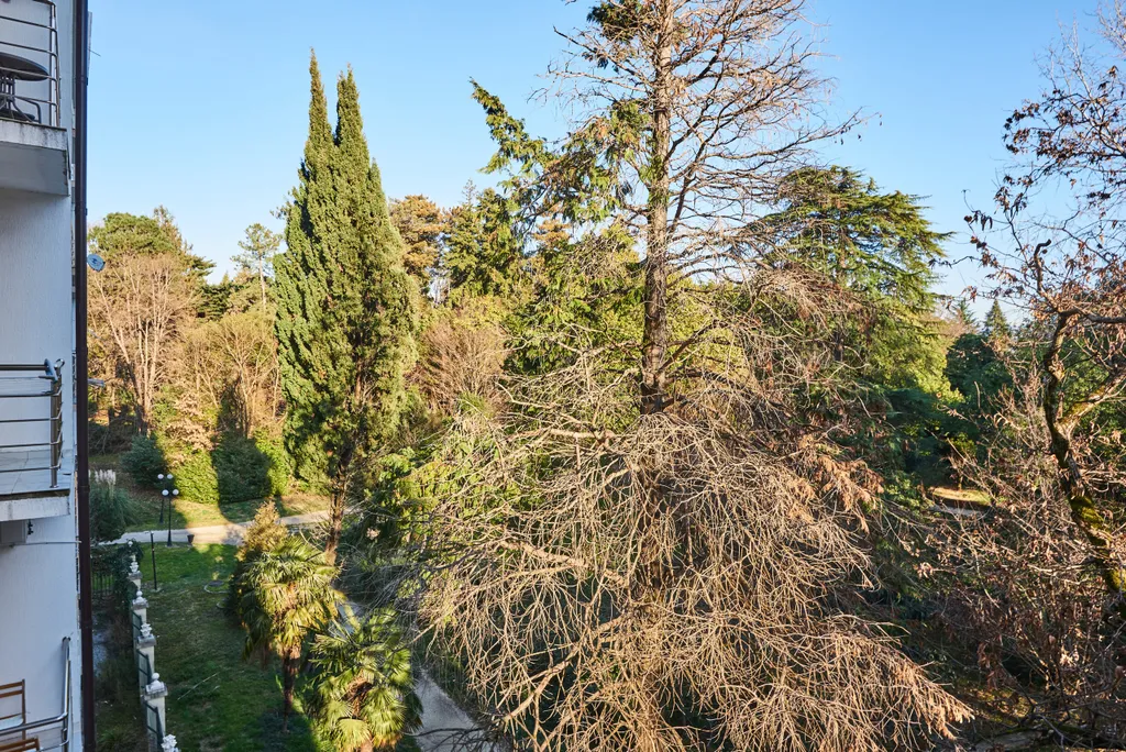 Квартира Квартира Милая студия на Цветочной — Сириус