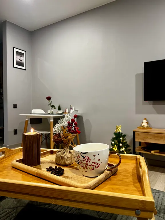 Стильная видовая студия в центре города