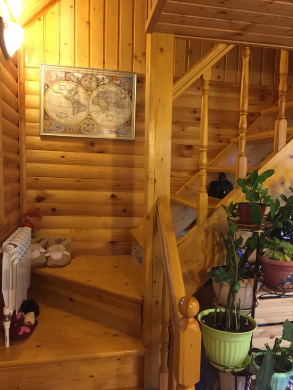 Домик в сосновом лесу