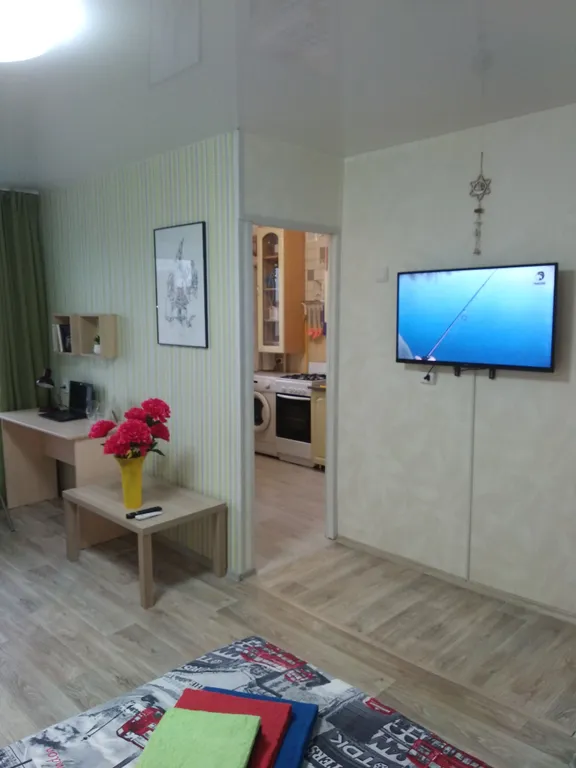 Уютная однокомнатная квартира