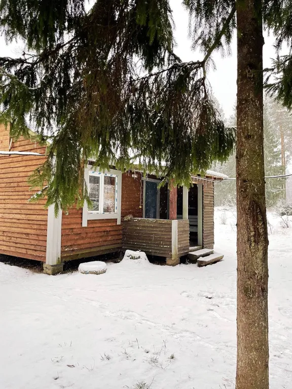 Садовый домик в сосновом бору в 100 метрах от озера