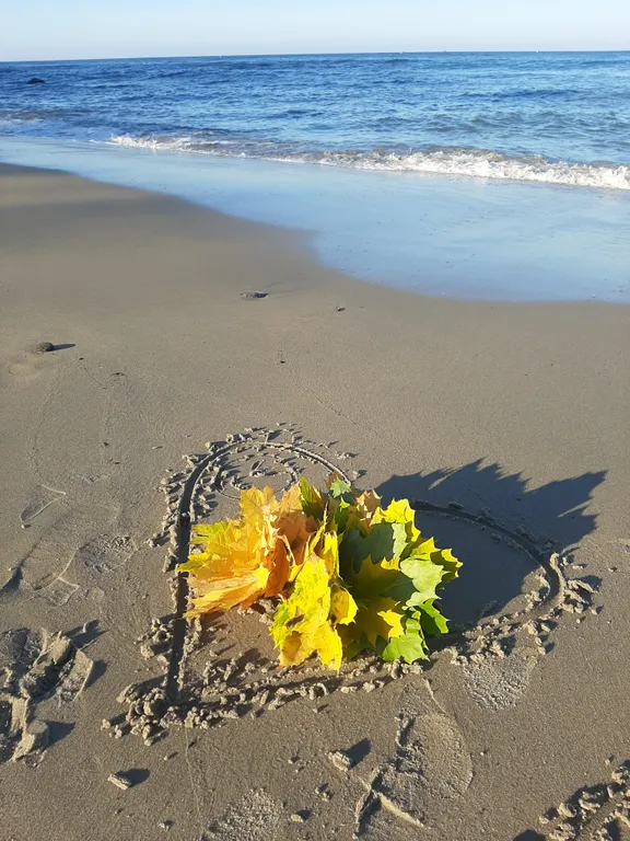 Квартира Квартира Vi&Va Кристалл комфорт — Светлогорск