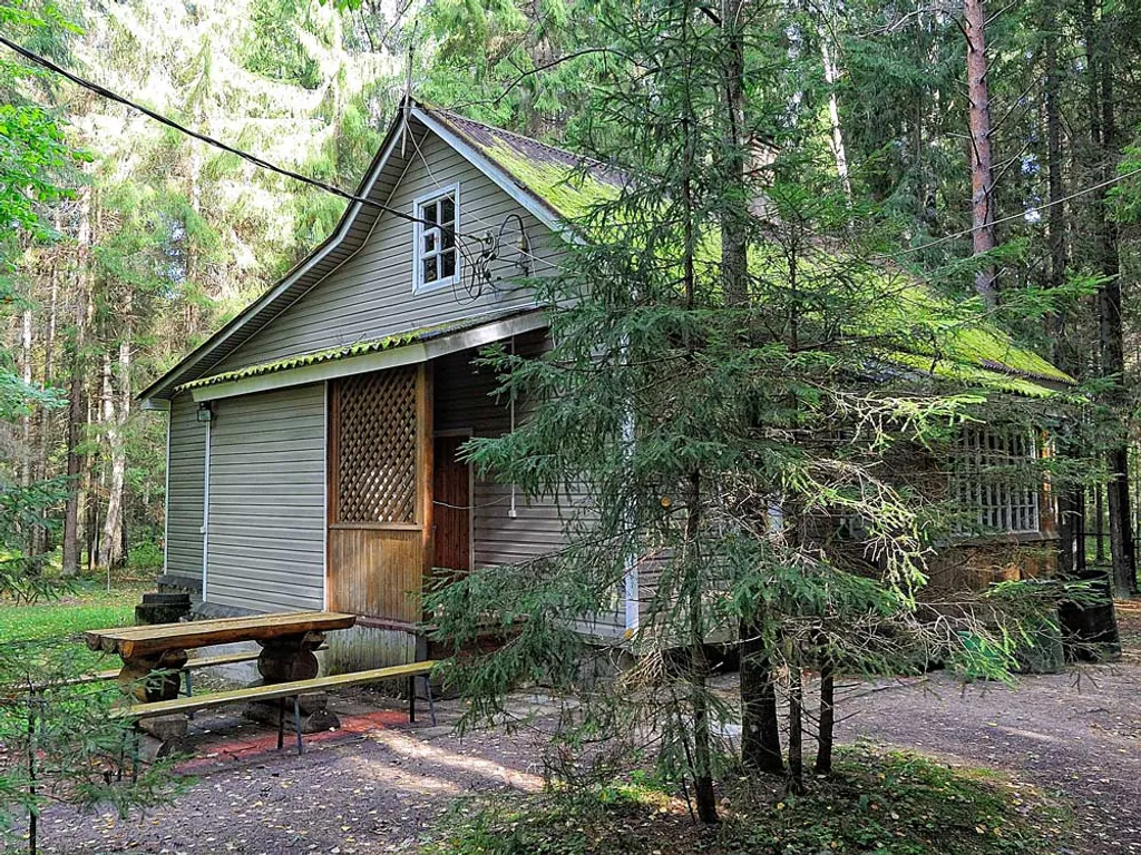 Коттедж 3-комнатный Дом — Луга