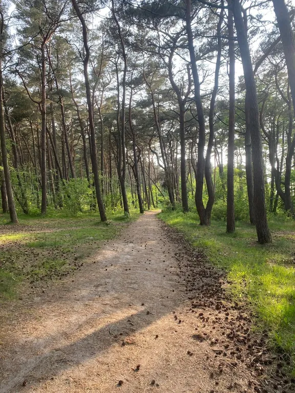 Уютные апартаменты рядом с морем