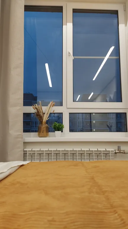 Студия на берегу Дона