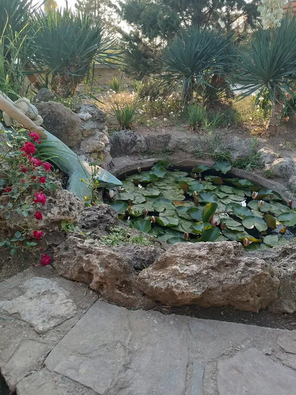 Видовые апартаменты