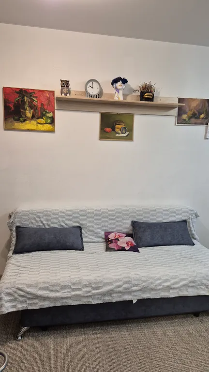 Уютная студия с видом на реку Иртыш