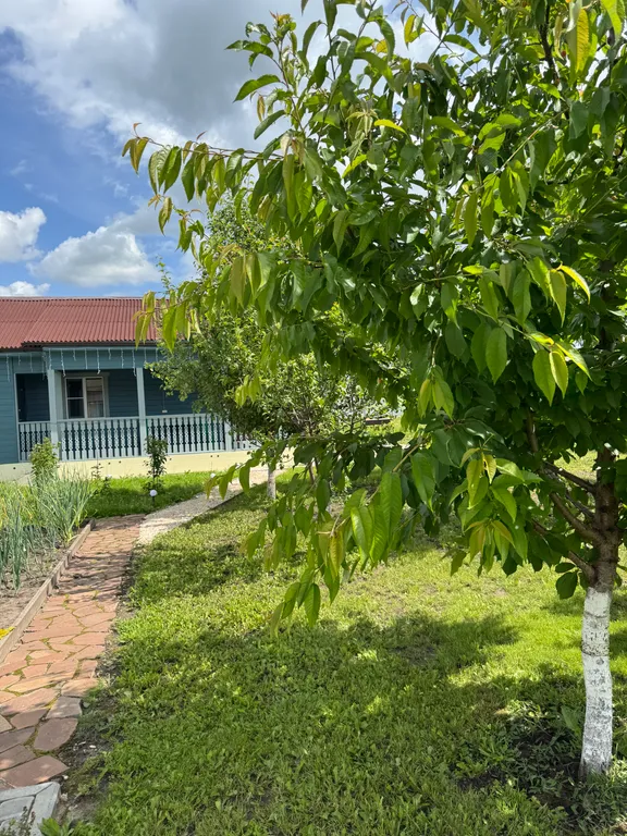 Улучшенный апартамент