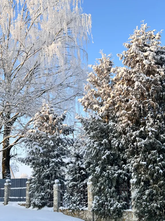 Домик в деревне