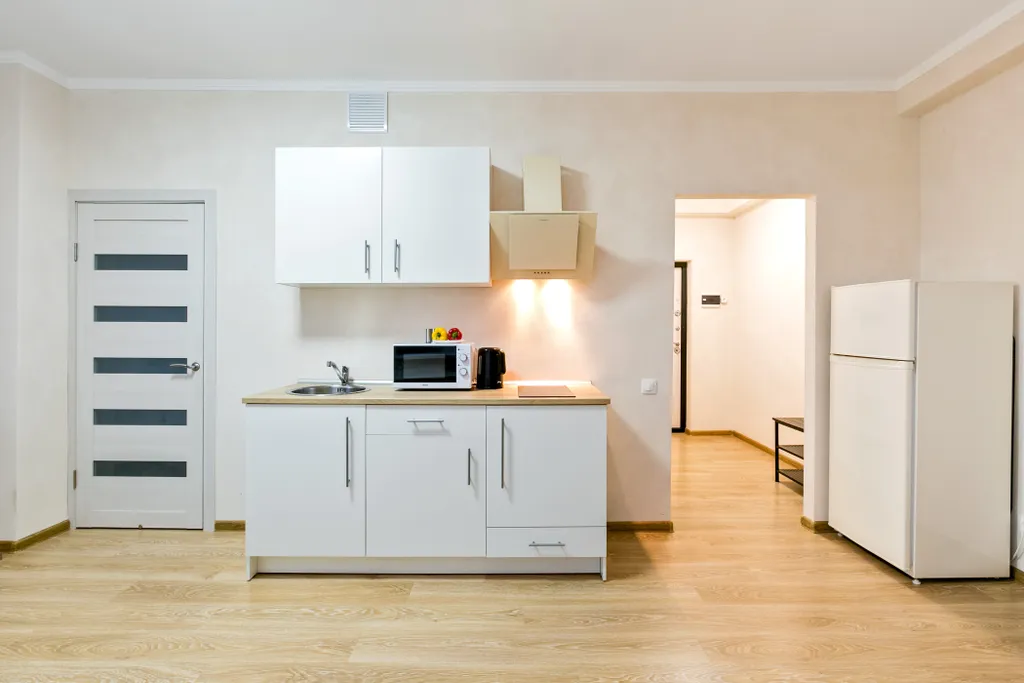 Laspace apart panorama кухня-гостиная спальня стиралка