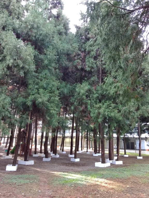 Квартира Роскошные апартаменты с прямым видом на море в Бамбо Бич Цихисдзири — Цихисдзири