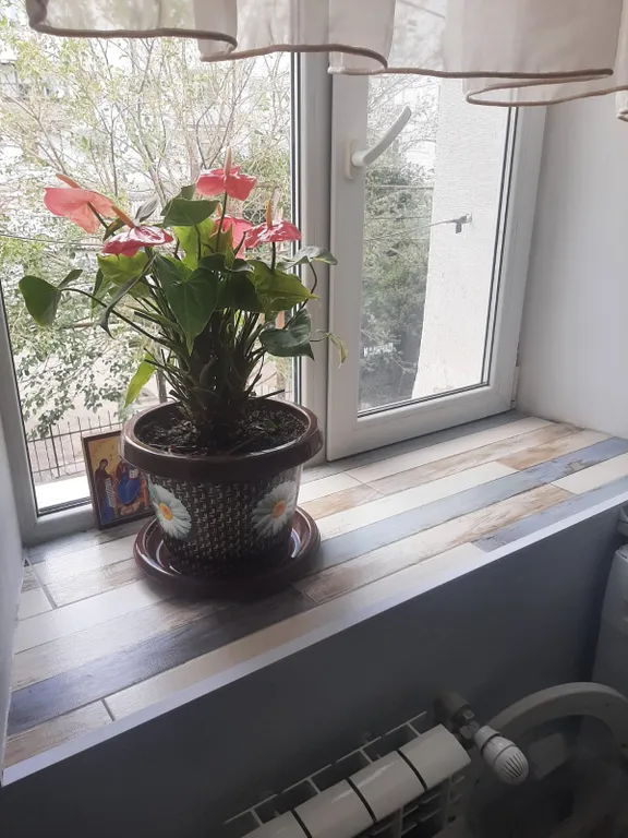 Уютная квартирка рядом с морем