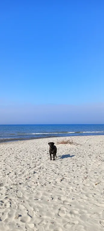 Морской домик на Балтийском побережье