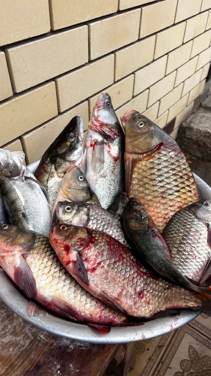 Дом для счастливой рыбалки