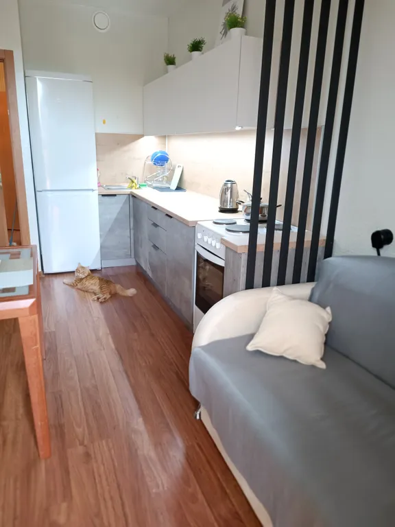 Уютная квартира рядом с парком