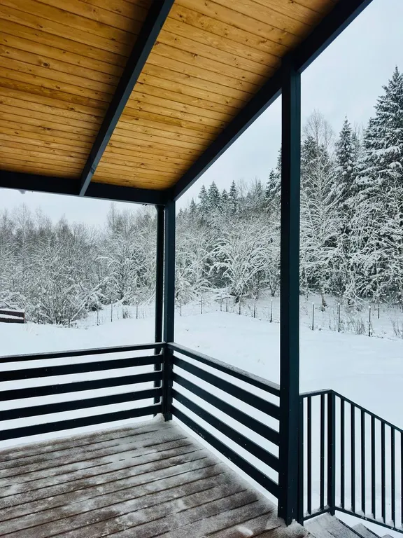 Лесная история